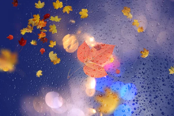 Autumn Leaves Rain Drops Window Glass Bokeh Street Evening Light — Φωτογραφία Αρχείου