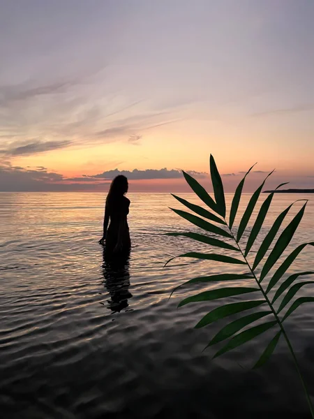 Plant Shadow Woman Silhouette Orange Sunset Sea Water Splash Pink — Stock Photo, Image