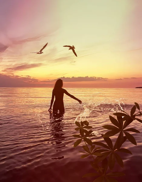 pink sunset plant shadow and woman  silhouette at orange sunset in the sea water splash and cloudy sky view from window frame