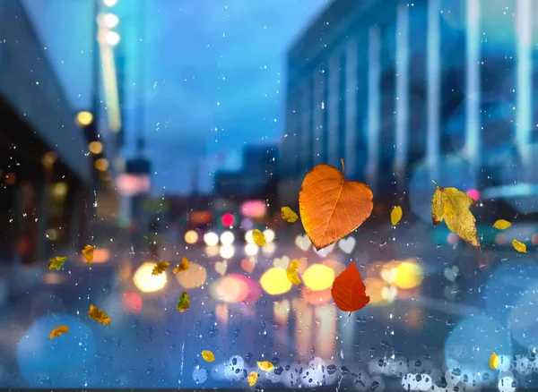 Rain City Autumn Leaves Cold Weather Rainy Drops Window People — Stock Photo, Image