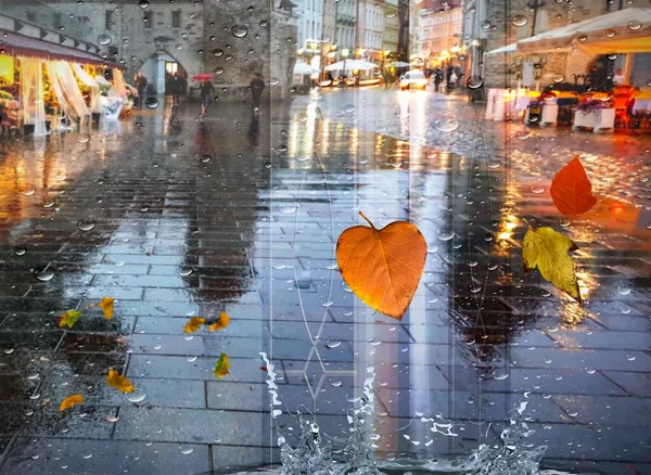 rain city  Autumn leaves  cold weather rainy drops on window and people silhouette with umbrellas night  traffic  light blurred reflection cold season view from window glass vitrines Tallinn Old Town