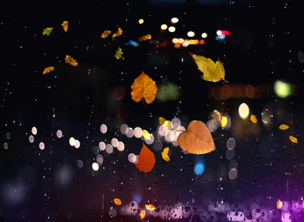 Rainy Autumn leaves on window rain drops and night city traffic blurred light colorful reflection cold season defocus background