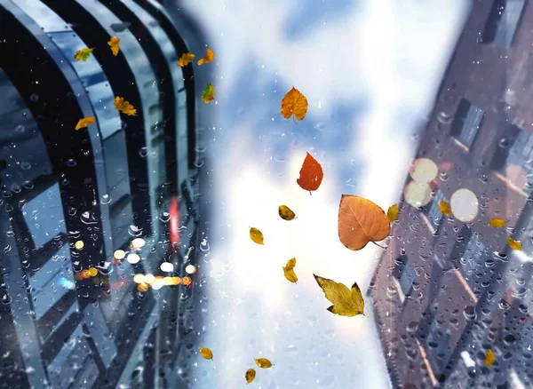 Rainy Autumn leaves on window rain drops and night city traffic blurred light colorful reflection cold season defocus background