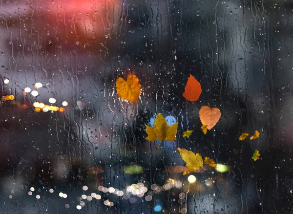 Rainy Autumn leaves on window rain drops and night city traffic blurred light colorful reflection cold season defocus background