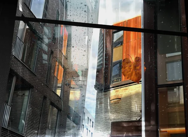 rain in  city street, people silhouette with umbrellas ,modern and vintage building ,Rainy weather season ,Autumn leaves on window,wet drops ,night  blurred light  reflection cold urban  defocus   background