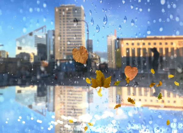 Rainy Day City Autumn Leaves Window Glass Modern Buildings Cold — Stockfoto