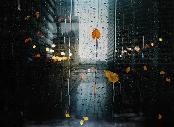 Rain City Rainy Drops Yellow Leaves Window View Modern Buildings — 스톡 사진