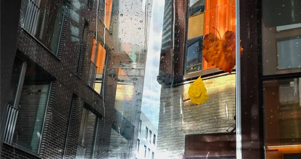 Rain City Rainy Drops Window Glass Frame Yellow Leaves View —  Fotos de Stock