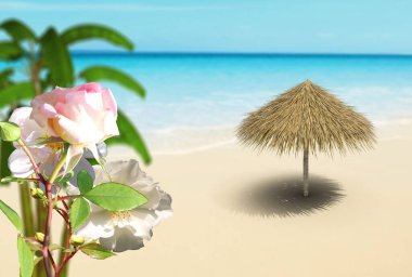 tropical beach.blue sea and sky  straw tent and palm withwhite sand  beautiful flowers summer holiday travel  template background copy space