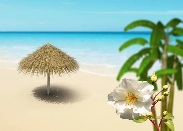 Tropical Beach Blue Sea Sky Straw Tent Palm Withwhite Sand — Fotografia de Stock