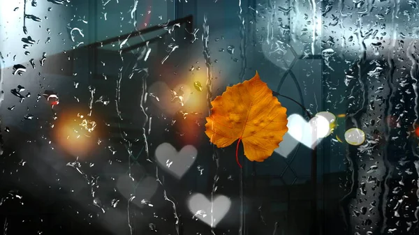 Autumn Rainy City Tallinn Old Town Yellow Leaves Rain Drops — Fotografie, imagine de stoc