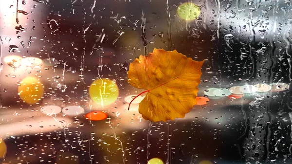 Autumn Rainy City Yellow Leaves Rain Drops Wet Window Glass — Stock Photo, Image