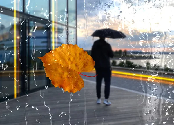 Autumn Rainy City Tallinn Old Town Yellow Leaves Rain Drops — Stockfoto