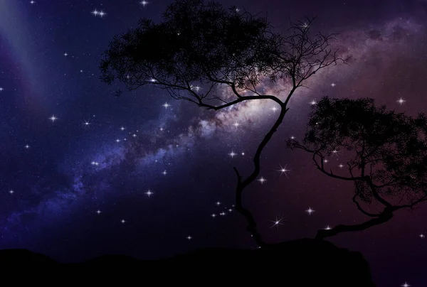 Night Tree Silhouette Front Dark Starry Sky Nebula Sky Starry — 图库照片