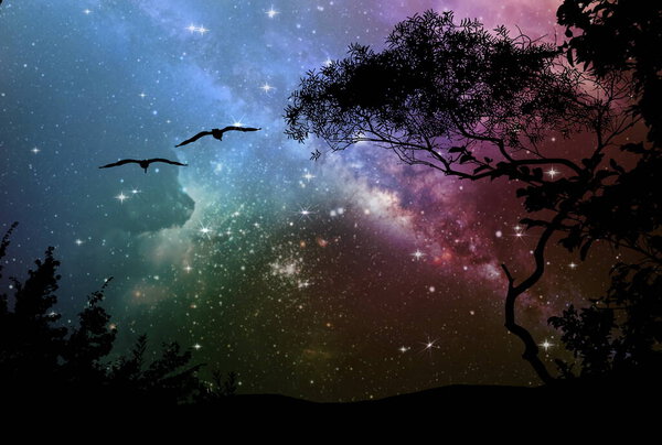 Night tree silhouette on front dark starry sky nebula sky starry night space bright star cosmic nebula milky way background template banner