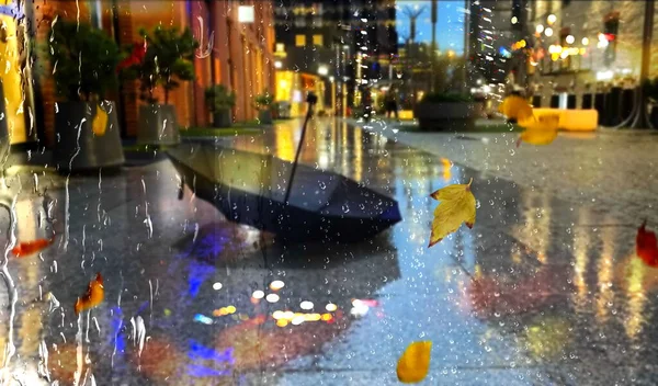 Autumn Rain Leaves Bokeh Neaon Light City Evening Blurred Rain — Stock Fotó