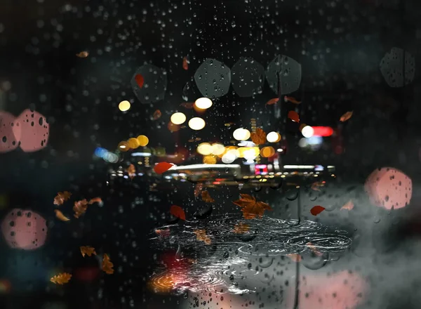 Autumn Rain Leaves Puddles Asphalt Circles Night City Traffic Blurred — 스톡 사진
