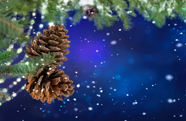 Christmas Tree Branch Cone Blue Blurred Festive Bokeh Confetti Snow — Stock Photo, Image