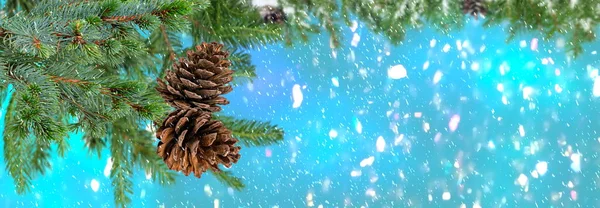 Christmas Tree Branch Cone Blue Blurred Festive Bokeh Confetti Snow — 스톡 사진
