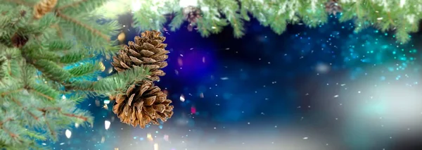 Christmas Tree Branch Cone Blue Blurred Festive Bokeh Confetti Snow — 스톡 사진