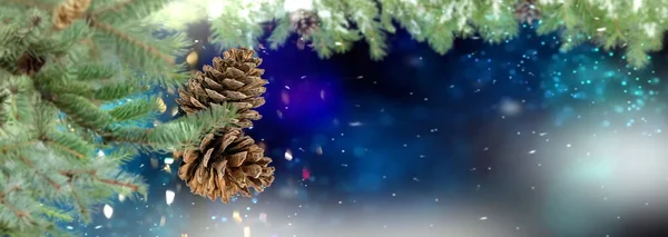 Christmas Tree Branch Cone Blue Blurred Festive Bokeh Confetti Snow — 스톡 사진
