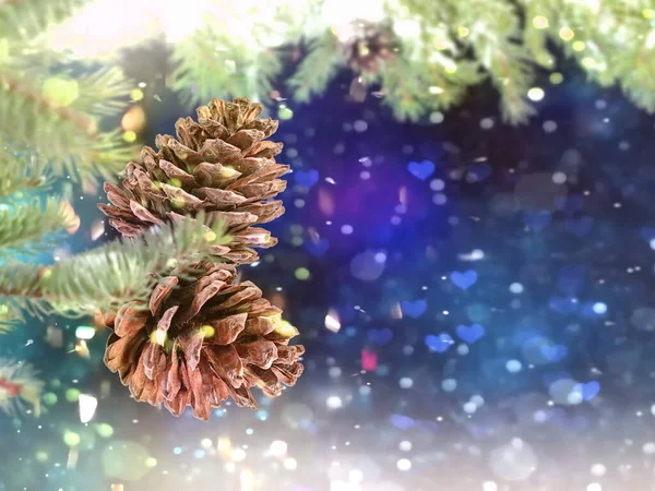 Christmas Tree Branch Cone Blue Blurred Festive Bokeh Confetti Snow — Fotografia de Stock