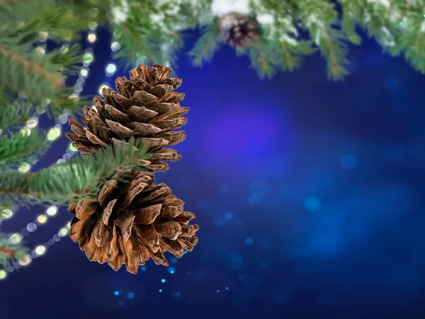 Christmas Tree Branch Cone Blue Blurred Festive Bokeh Confetti Snow — Fotografia de Stock