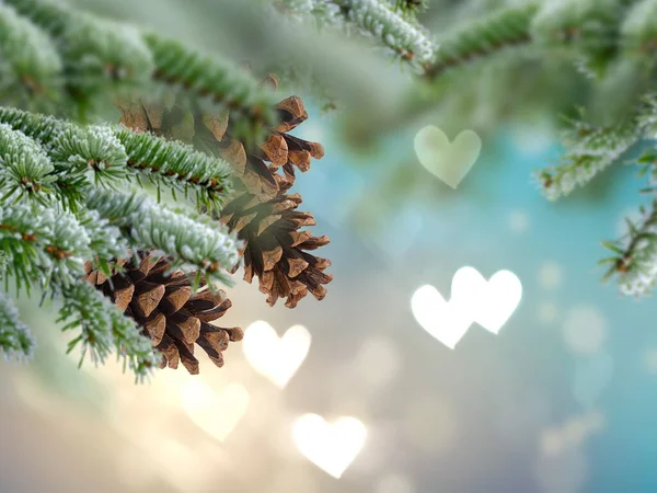 Christmas Tree Branch Cone Bokeh Light Heart Sumbol Blue Bakcground — Fotografia de Stock