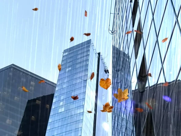 Autumn Rainy City Modern Buildings Rain Fall Autumn Leaves Urban — Stock Fotó