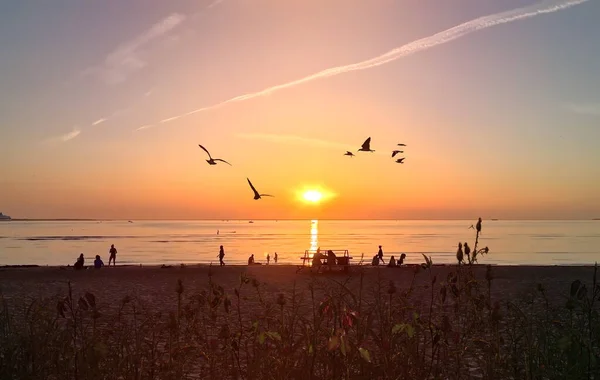 orange sunset air ball  on sky at sea seagull on sky people relax on beach summer background