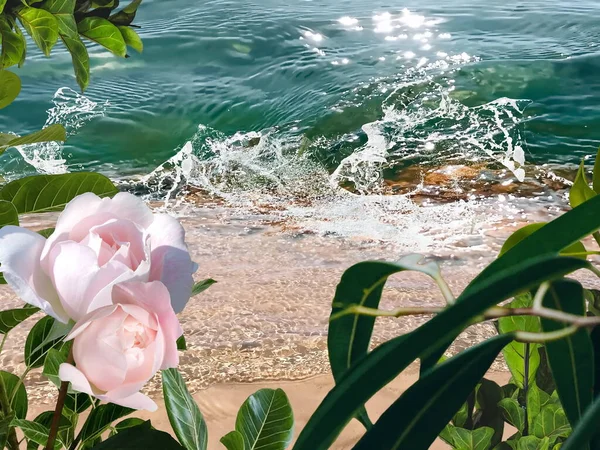 Green Mediterranean Sea Water Splash Pink Flowers Tropical Palm Plant — Stock Fotó