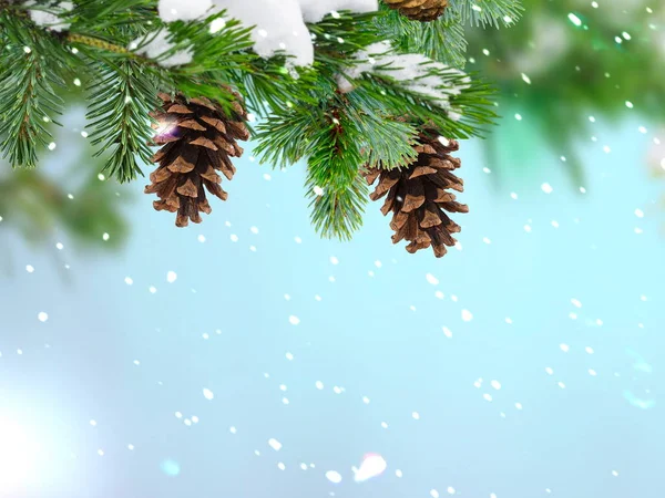 Χριστουγεννιάτικο Δέντρο Και Κουκουνάρι Εορταστικό Χιονισμένο Θολή Φως Και Χρυσό — Φωτογραφία Αρχείου