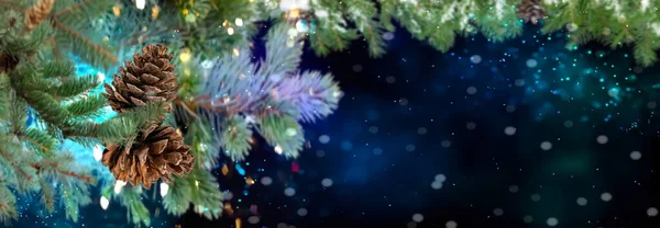 Winter Christmas Green Tree Pine Cone Festive Snowy Blurred Bokeh — 스톡 사진