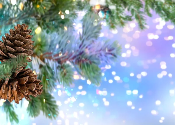 Winter Christmas Green Tree Pine Cone Festive Snowy Blurred Bokeh — Fotografia de Stock