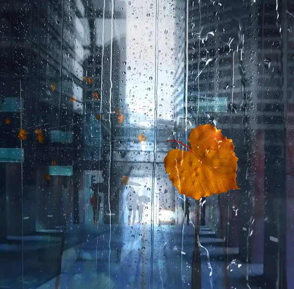 Rainy City Rain Drops Wndow Glass Yellow Leaves Pedestrian Walk — Stock Photo, Image