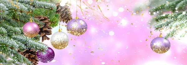 Christmas  tree green pine tree branch with cone  and colorful ball winter blue festive snow flakes blurred with gold star confetti bakcground copy space template banner