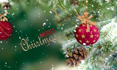  Christmas green pine tree branch with cone and red ball on  winter  festive snow flakes blurred  gold  confetti  bakcground copy space template banner greetings 