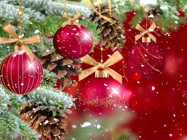 Christmas Green Pine Tree Branch Cone Red Ball Winter Festive — Fotografia de Stock