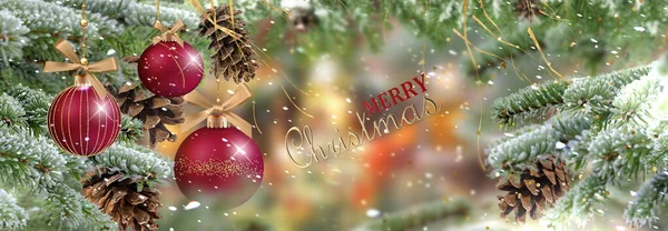 Christmas Green Pine Tree Branch Cone Red Ball Winter Festive — Stockfoto