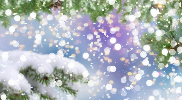 Green Tree Branch Snow Flakes Blurred Winter Blue Background Template — Stok fotoğraf