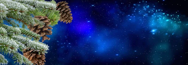 Green Tree Cone Front Blue Starry Night Sky Snow Flakes — ストック写真