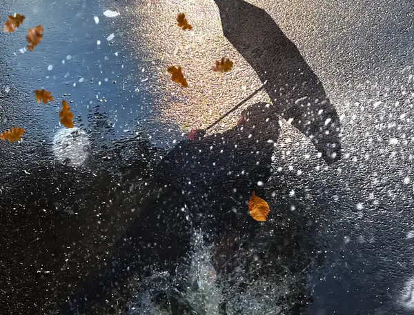 Осень Дождливая Погода Капли Дождя Желтые Листья Асфальте Женщина Зонтиком — стоковое фото