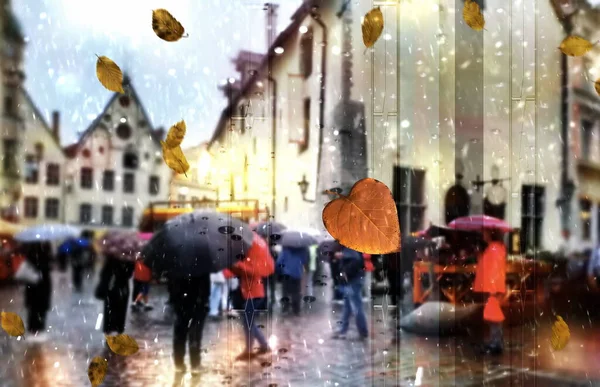 Rainy City People Walk Umbrellas Medieval Houses Tourist Tallinn Old — Stockfoto