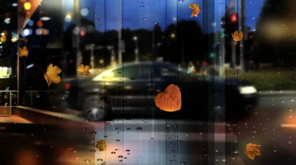 Night City Rain Autumn Leaves Rainy City Night Rain Car — Fotografia de Stock