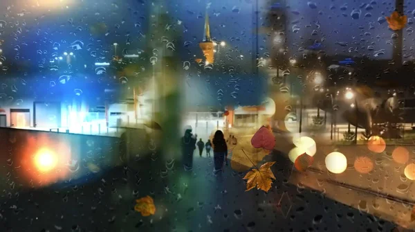 Night City Light Autumn Leaves Rainy Night Car Street Traffic — Fotografia de Stock