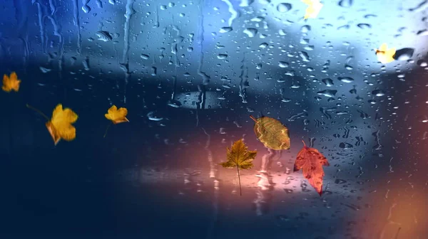 night city rain blurred light car traffic and shop  vitrines  window glass reflection rainy drops Autumn leaves