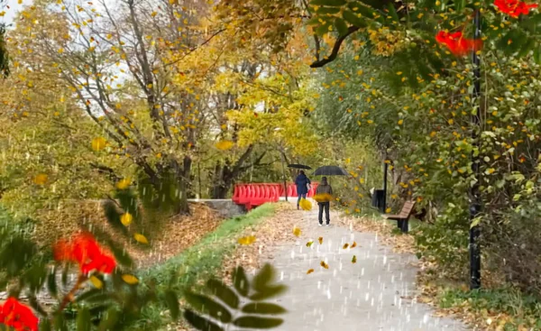Romantic Couple Walk Park Autumn Rain City Yellow Leaves Tree — Stockfoto