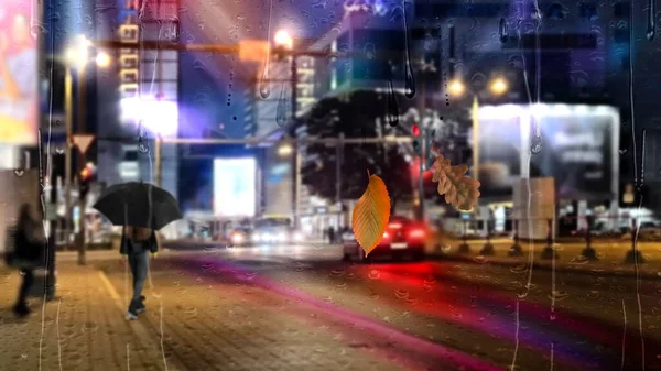 쿨라와 떨어지는 내리는 거리의 가벼운 보행자 환경에서 도로를 건너는 현대적 — 스톡 사진