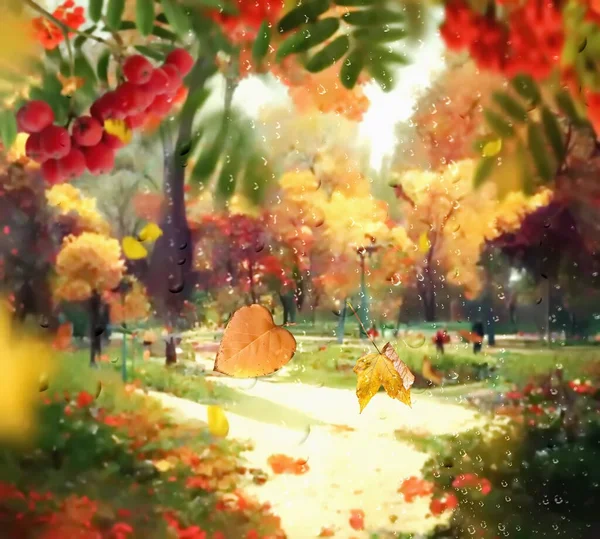 Regentropfen Auf Fensterblick Auf Stadtpark Bei Sonnenlicht Herbst Gelbe Blätter — Stockfoto