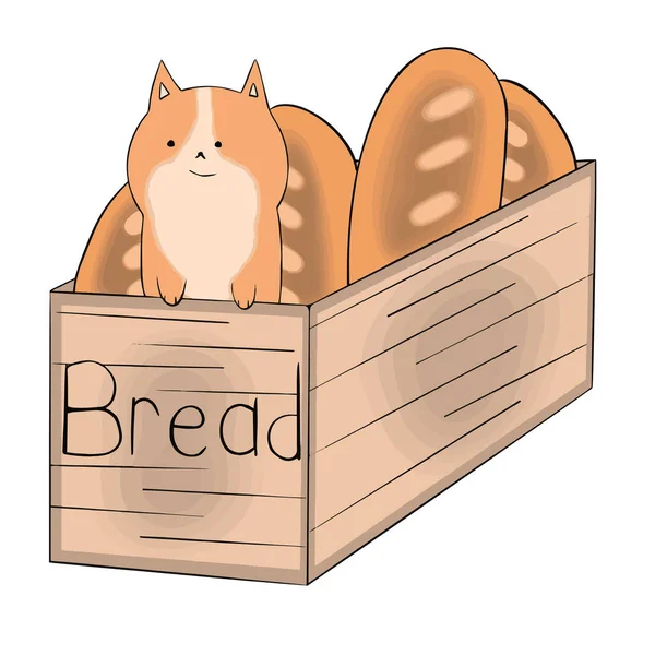 Cat Climbed Box Bread Box Inscription Bread Vector Illustration — Stock Vector